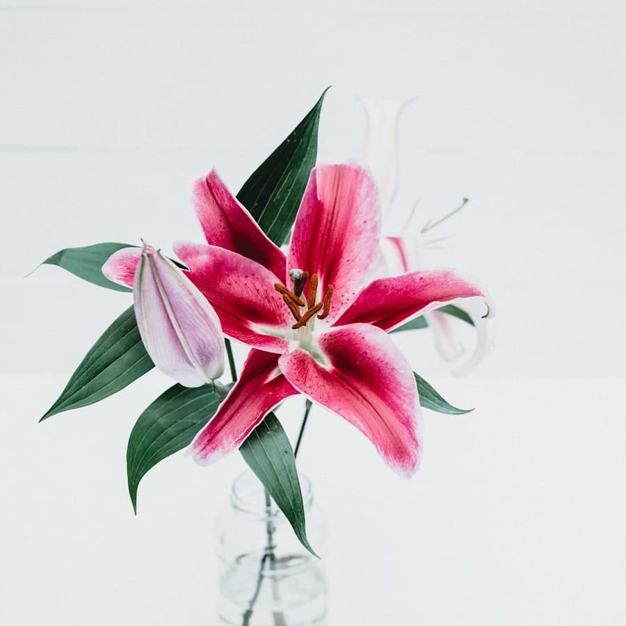 Gift Voucher $100